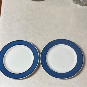 Set of 2 Nancy Calhoun  Sky Blue and Sapphire Salad Plates